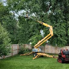 Best Palm Tree Trimming  in Lebanon, OR