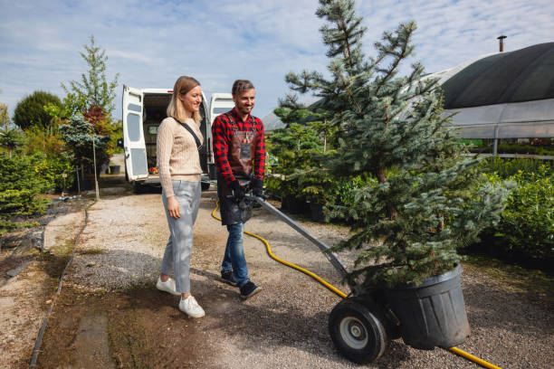 Best Weed Control  in Lebanon, OR